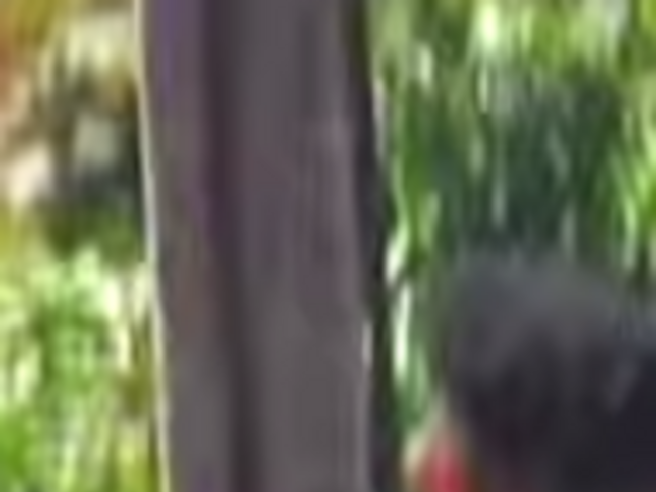 В сети появилось видео, снятое в Мукачево в самом начале инцидента. Видео