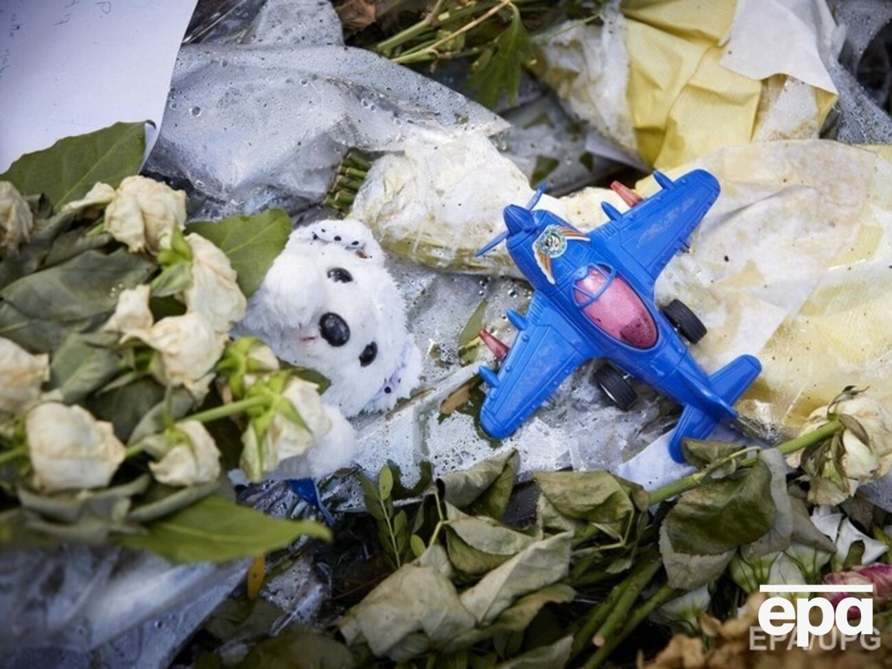 Авиалайнер Boeing был сбит над Донбассом 17 июля 2014 года