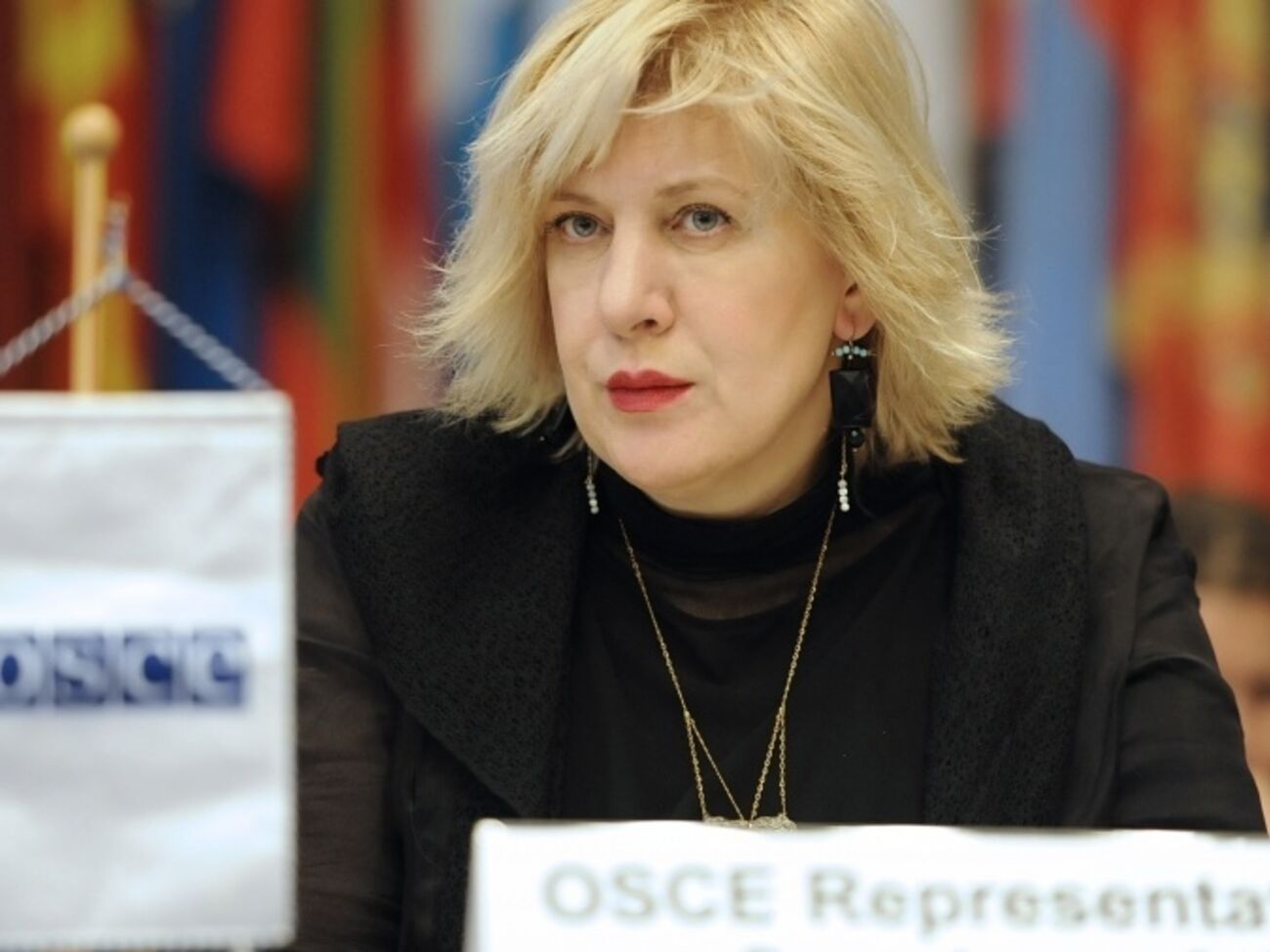 Представитель ОБСЕ по вопросам свободы СМИ Дунья Миятович считает, что для защиты персональных данных достаточно существующего законодательства РФ