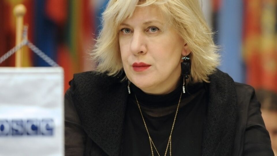 Представитель ОБСЕ по вопросам свободы СМИ Дунья Миятович считает, что для защиты персональных данных достаточно существующего законодательства РФ