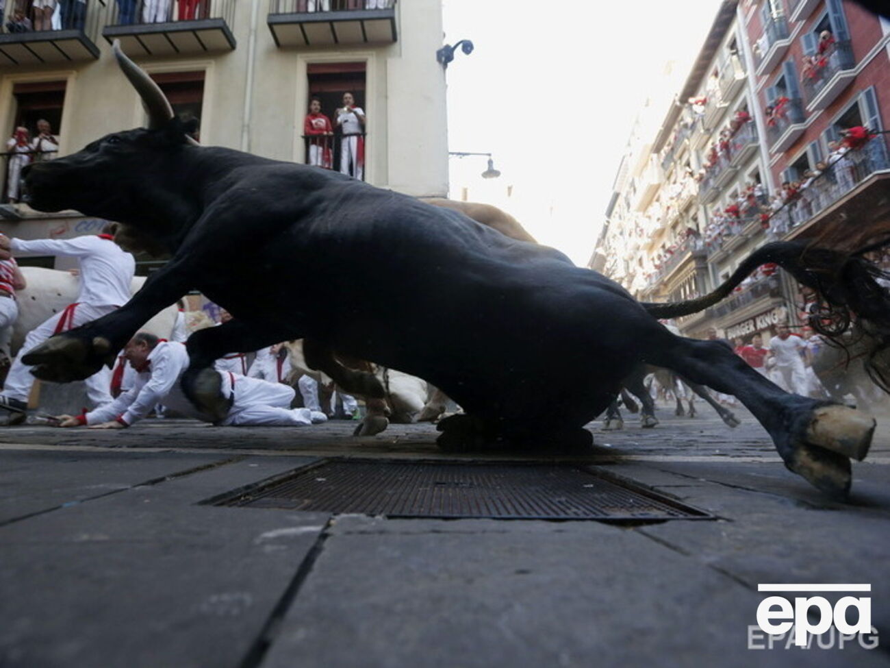 На фестивале в Испании в результате забега с быками пострадали не менее шести человек. Фоторепортаж