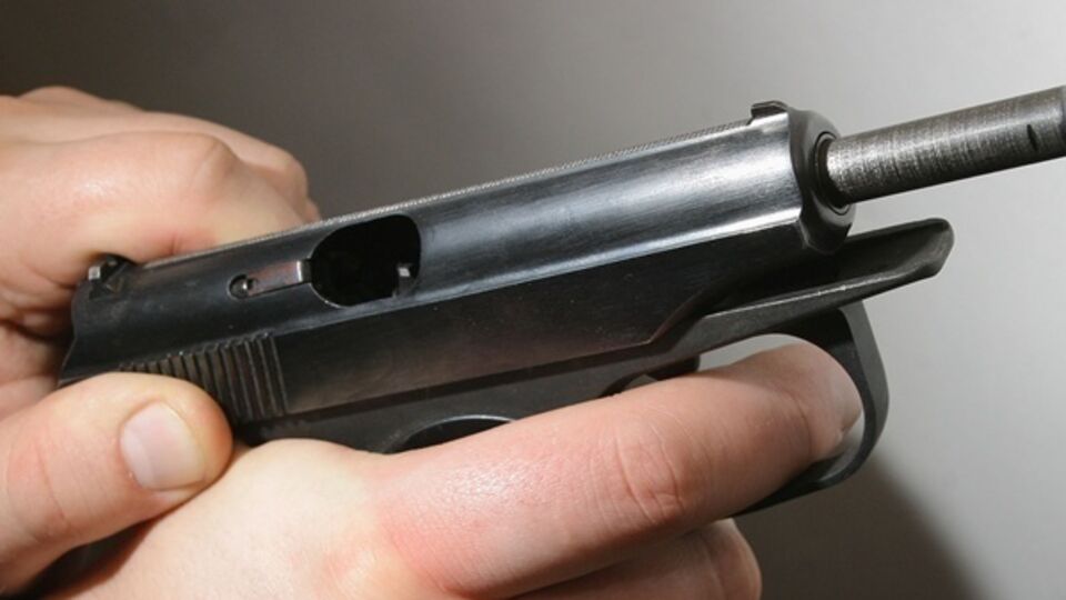 Патрульный застрелили агрессивную собаку бойцовой породы