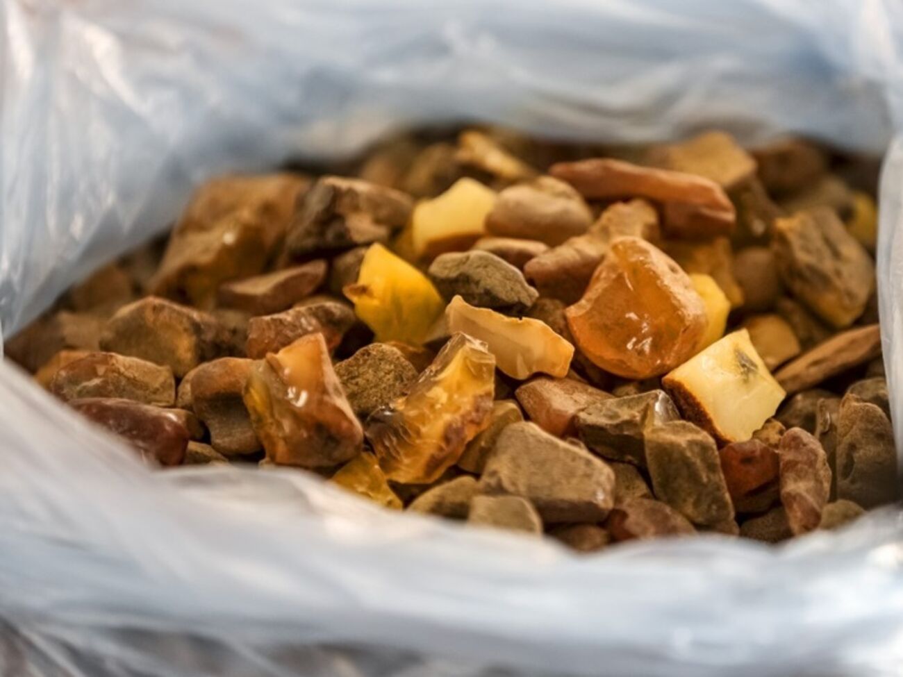 Петр Порошенко рассказал, что 4,5 млн грн от изъятого контрабандного янтаря будут потрачены на покупку нового бронетранспортера