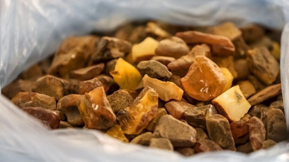 Петр Порошенко рассказал, что 4,5 млн грн от изъятого контрабандного янтаря будут потрачены на покупку нового бронетранспортера