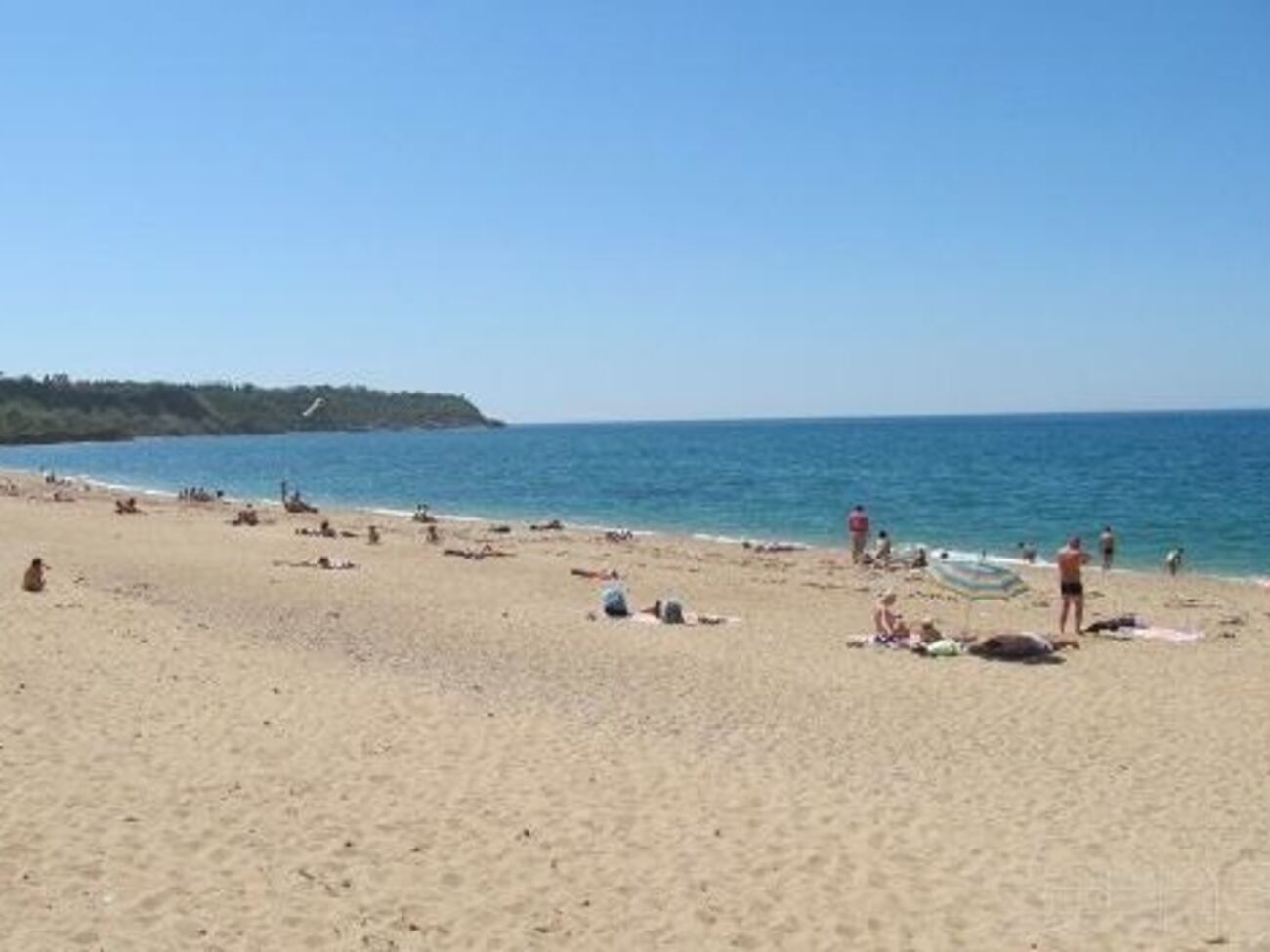 "Власти" Крыма надеются на хорошие результаты курортного сезона