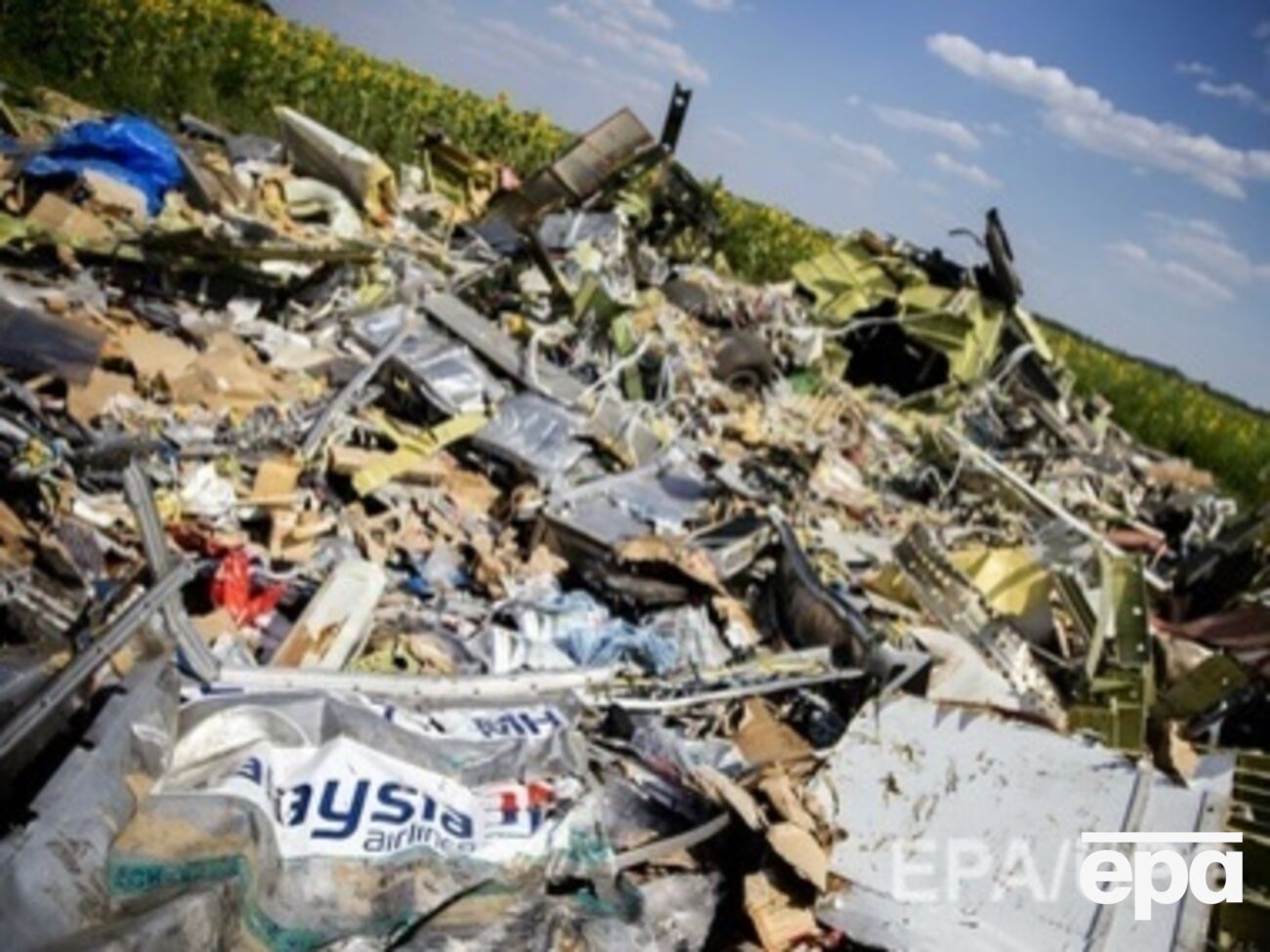 СМИ: В иске утверждается, что самолет сбили боевики под руководством Гиркина