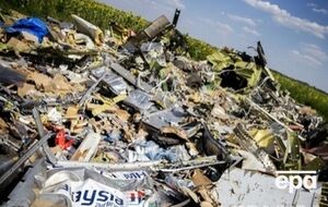 СМИ: В иске утверждается, что самолет сбили боевики под руководством Гиркина