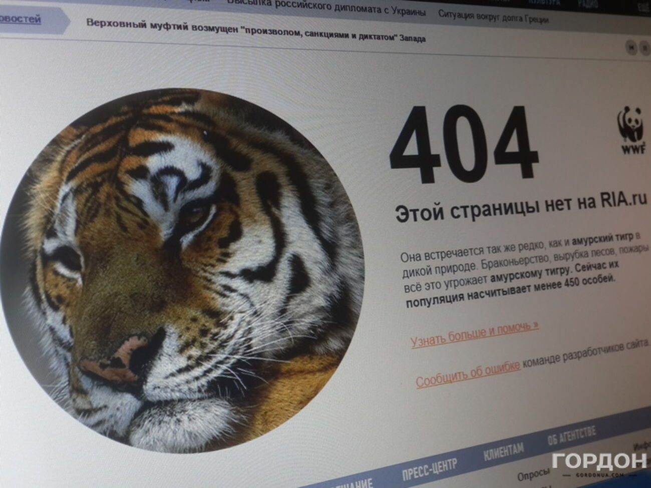 Теперь по ссылке на викторину сайт выдает ошибку 404