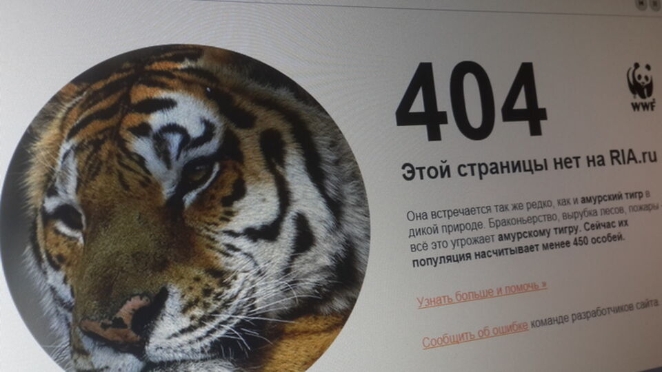 Теперь по ссылке на викторину сайт выдает ошибку 404