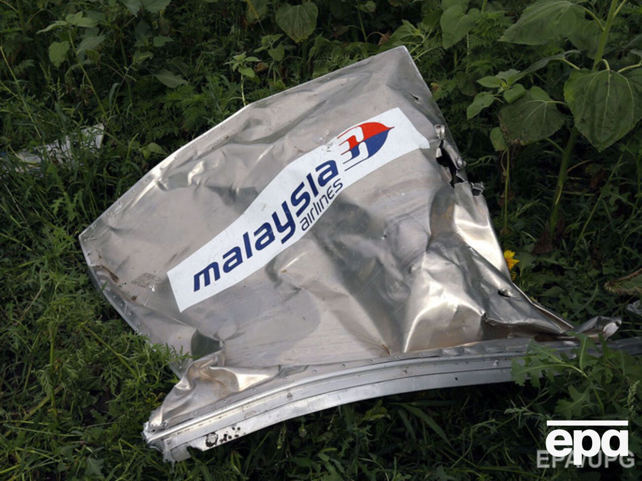 Голландский прокурор заявил, что малайзийский самолет, скорее всего, сбили из "Бука"