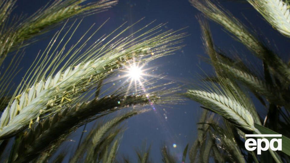 В Украине снова будет жарко