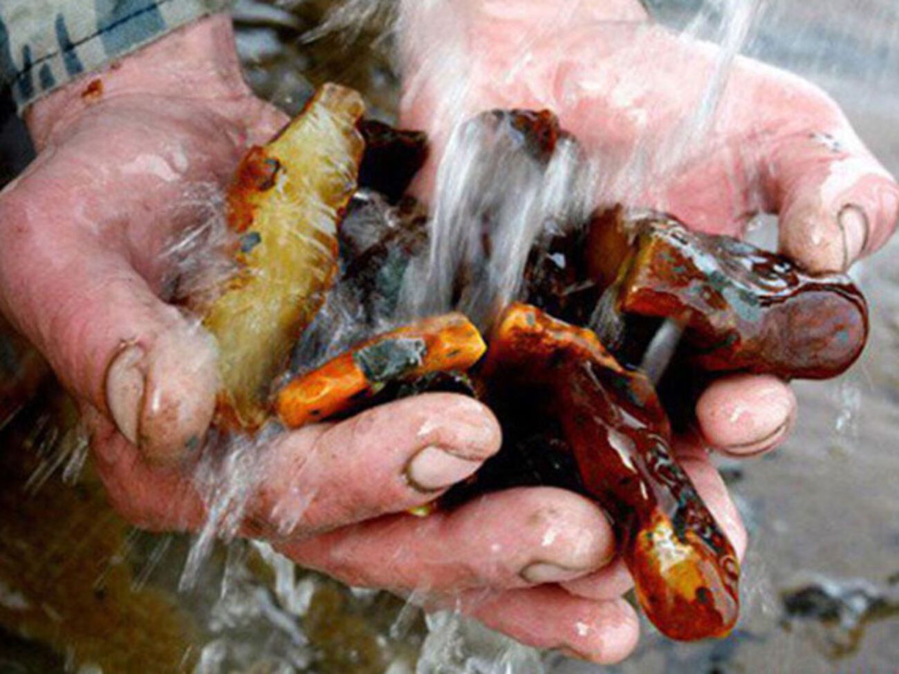 Четверо жителей Ровенской области были задержаны во время незаконной добычи янтаря