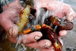 Четверо жителей Ровенской области были задержаны во время незаконной добычи янтаря