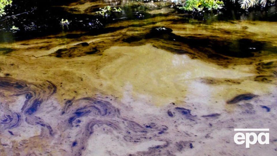 В Харьковской области в реке обнаружили загрязнение нефтепродуктами