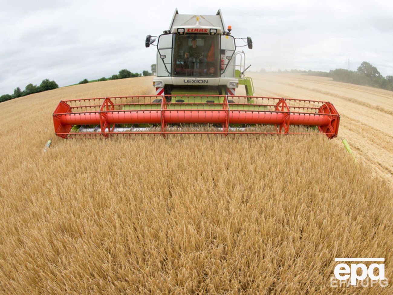 Подставные фирмы скупили у аграриев 3700 тонн зерна для дальнейшей перепродажи за границу