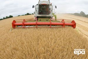 Подставные фирмы скупили у аграриев 3700 тонн зерна для дальнейшей перепродажи за границу