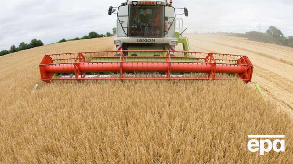 Подставные фирмы скупили у аграриев 3700 тонн зерна для дальнейшей перепродажи за границу