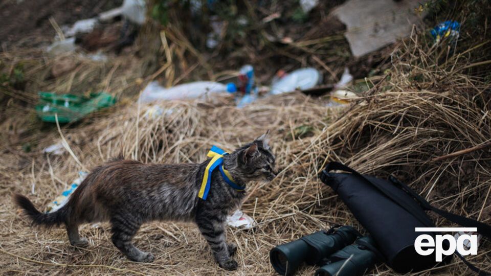 Украинцы хотят мирного решения конфликта на Донбассе