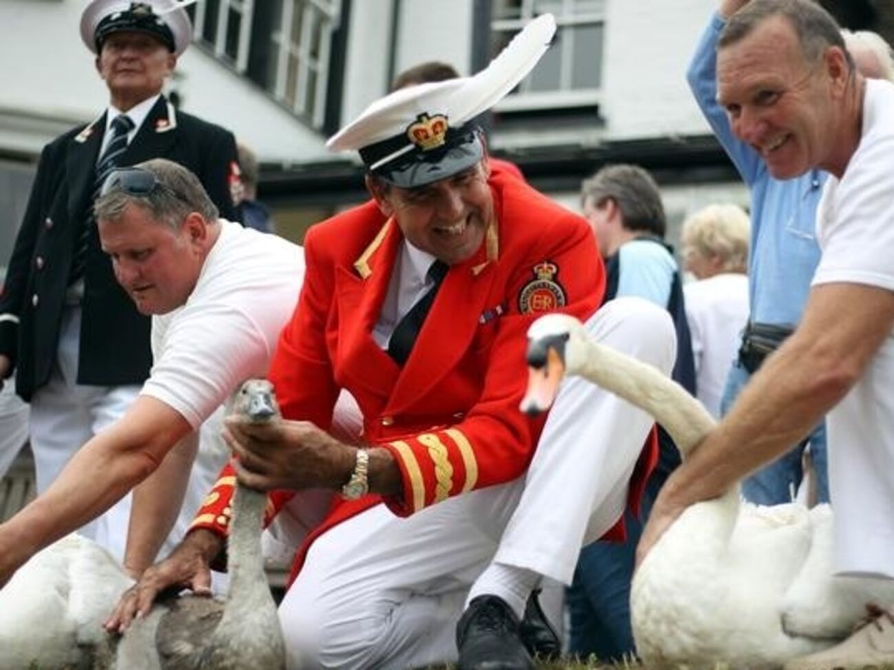 В Лондоне стартовала традиционная ежегодная инвентаризация лебедей-шипунов на Темзе. Фоторепортаж