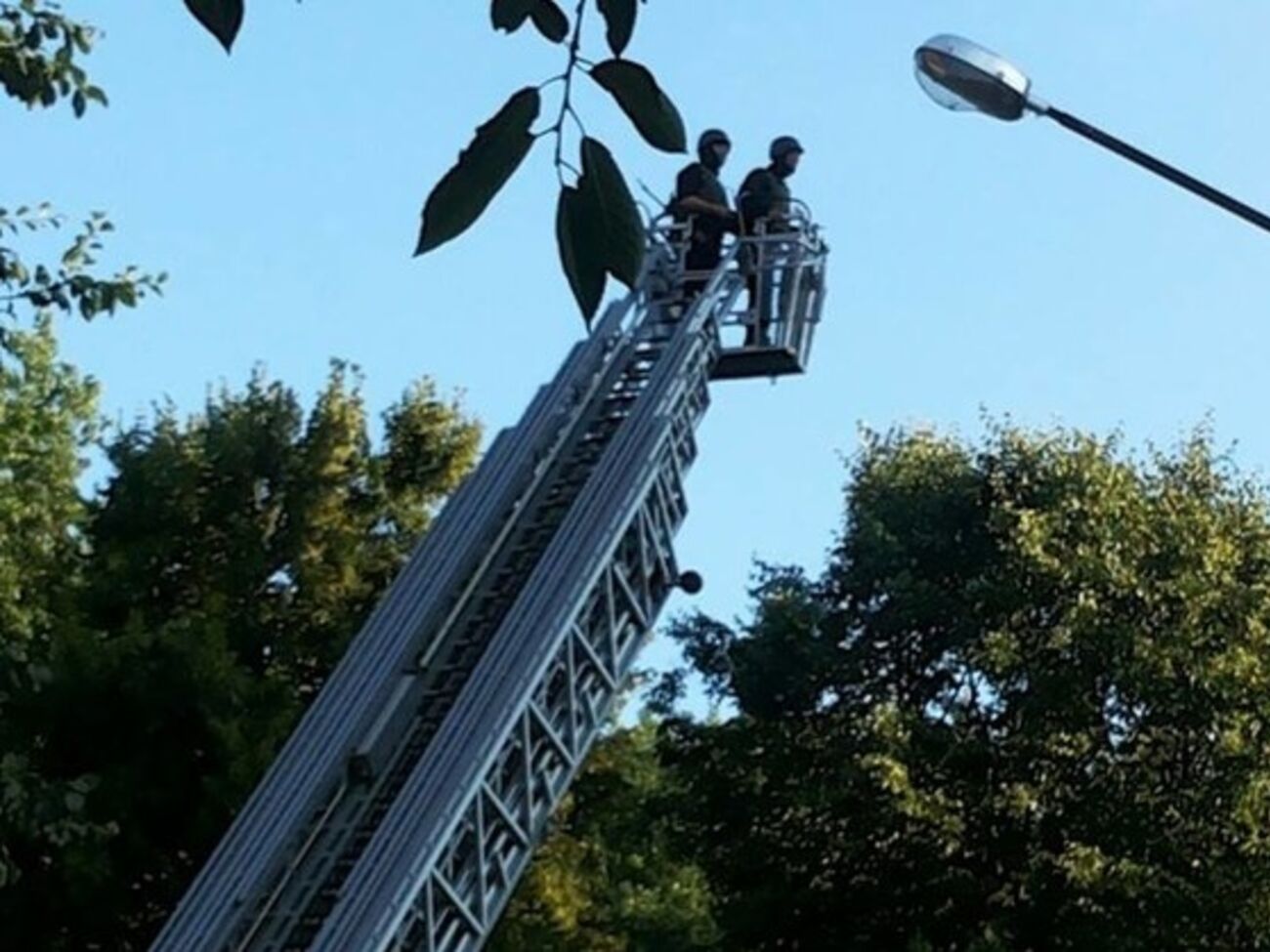 Правоохранители использовали пожарный подъемный кран