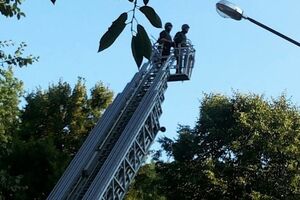 Правоохранители использовали пожарный подъемный кран