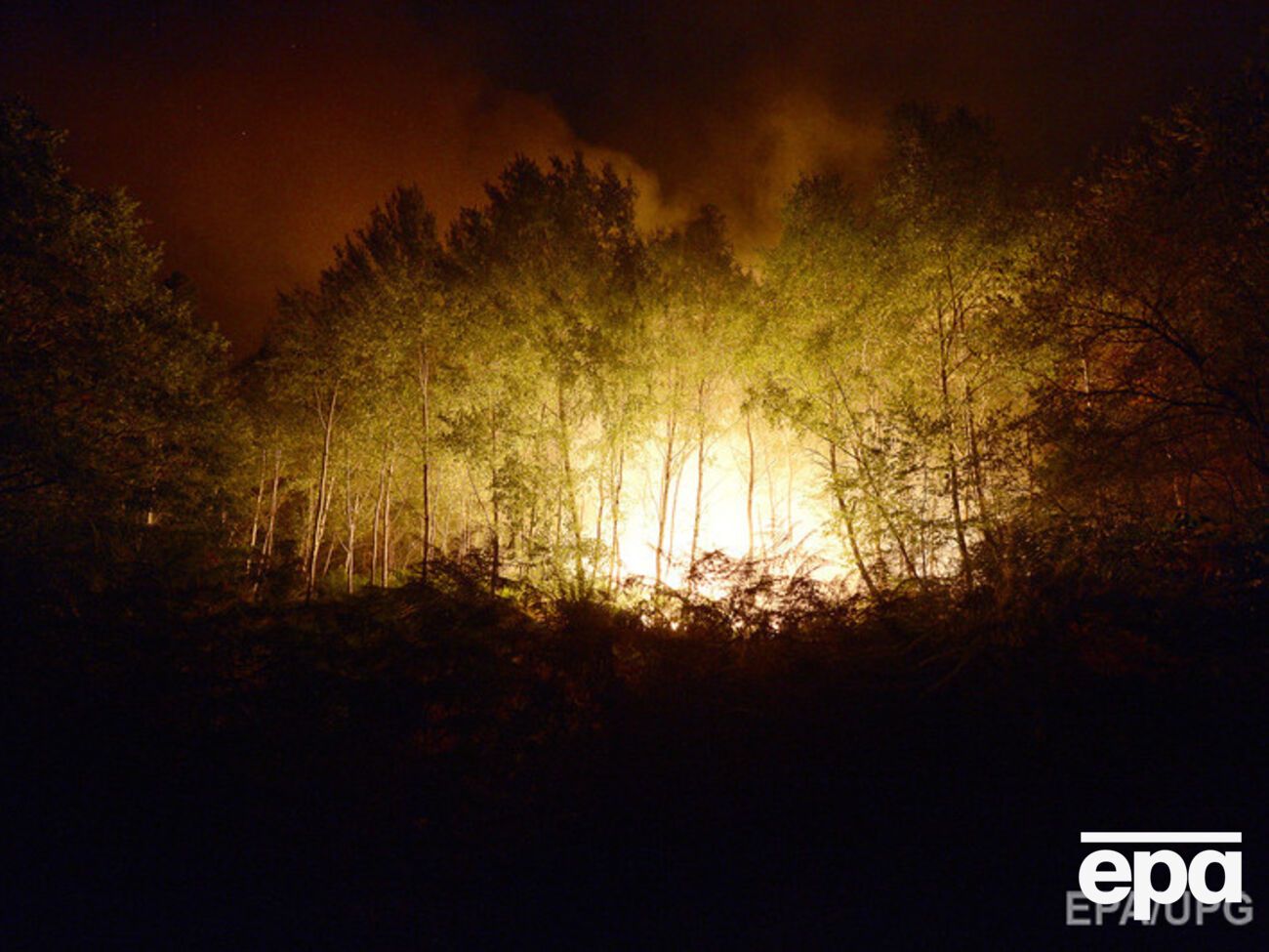 Пожар разгорелся вблизи Бордо