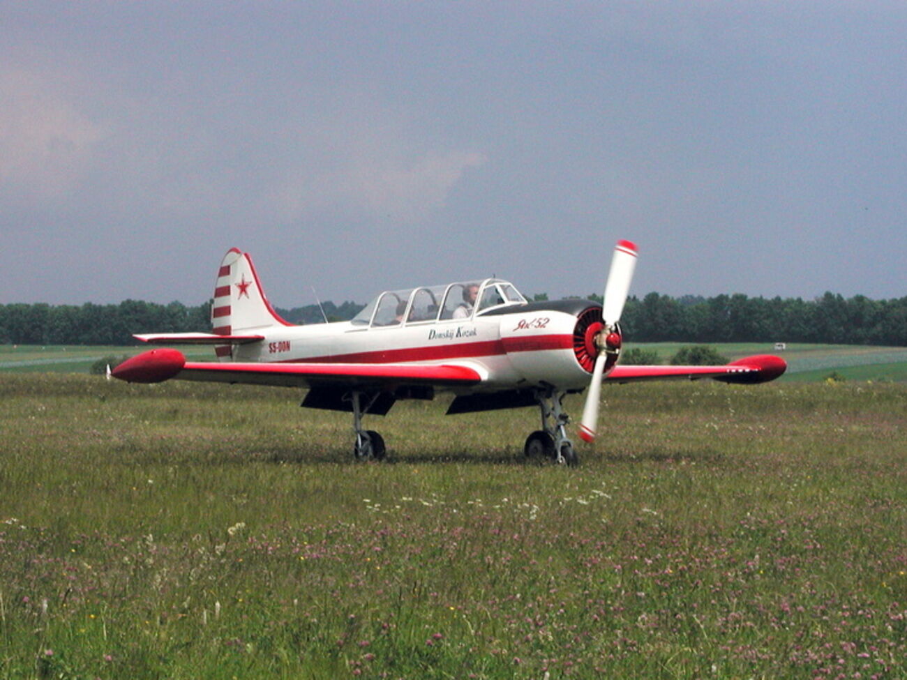 В Самарской области разбился Як-52