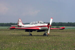 В Самарской области разбился Як-52