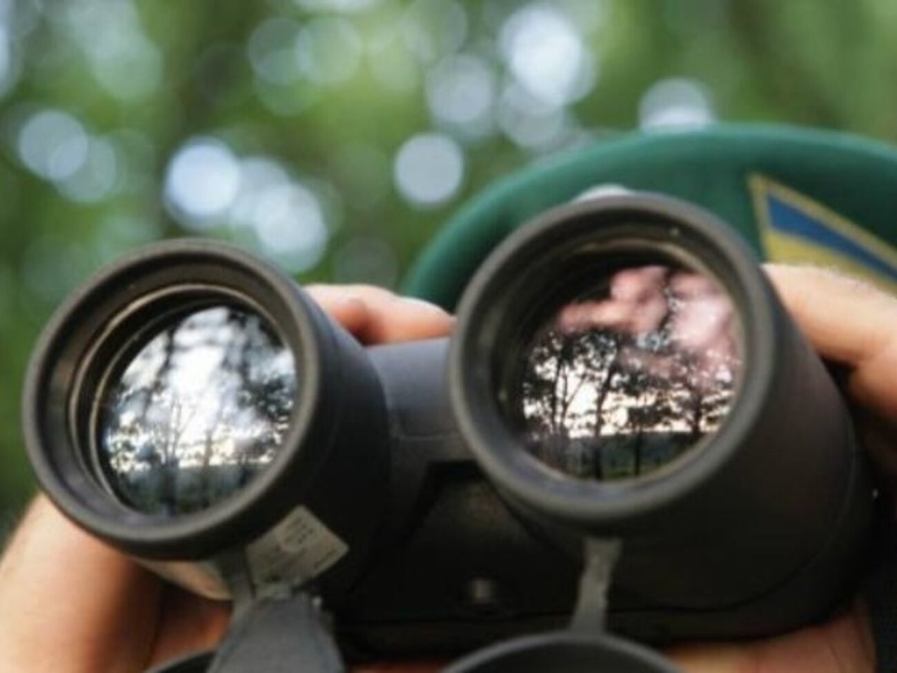 Пограничники задержали незаконных мигрантов и их украинских проводников