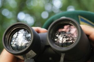 Пограничники задержали незаконных мигрантов и их украинских проводников