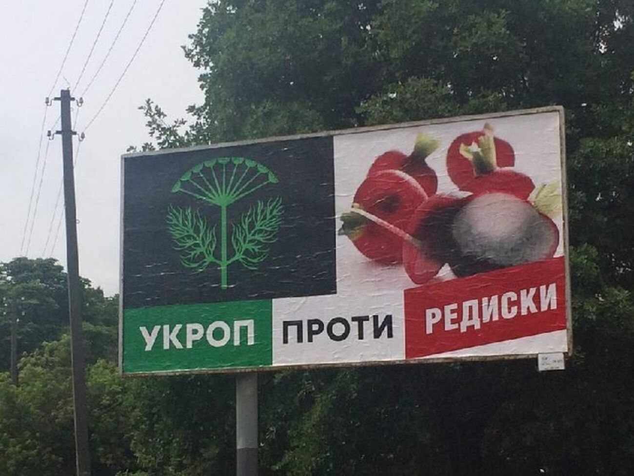 Геннадий Корбан считает, что на выборах в Чернигове происходит "война социологов", а Сергей Березенко доверяет экзит-поллу SOCIS