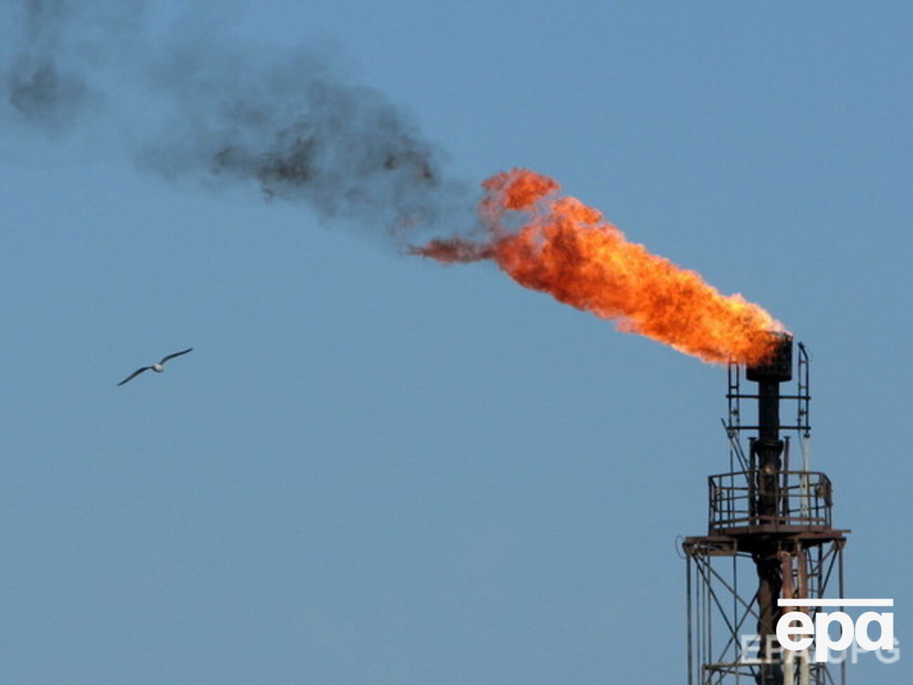 Нефть продолжает терять в цене