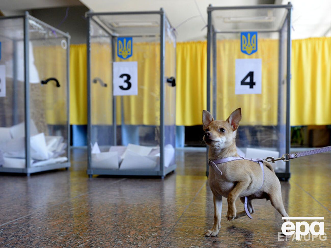 Активисты заявляют о многочисленных нарушениях на довыборах в черниговском 205-м округе