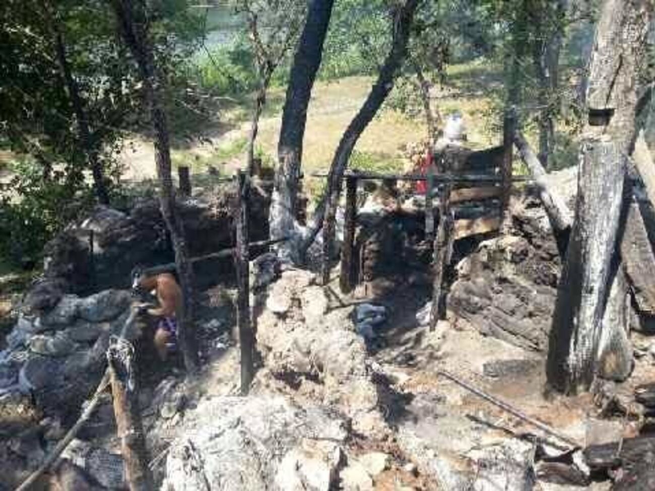 В результате обстрела боевиками вблизи Счастья разрушена часть окопов, блиндажей и постов ВСУ. Фоторепортаж