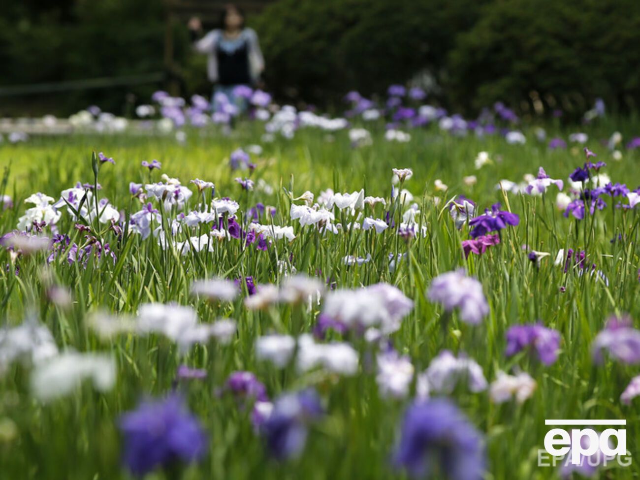 Окончательное решение о запрете или отмене такового ведомство примет после консультаций с ЕС