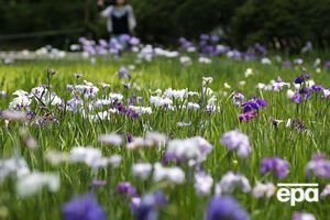 Окончательное решение о запрете или отмене такового ведомство примет после консультаций с ЕС
