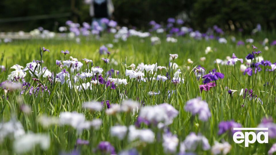 Окончательное решение о запрете или отмене такового ведомство примет после консультаций с ЕС