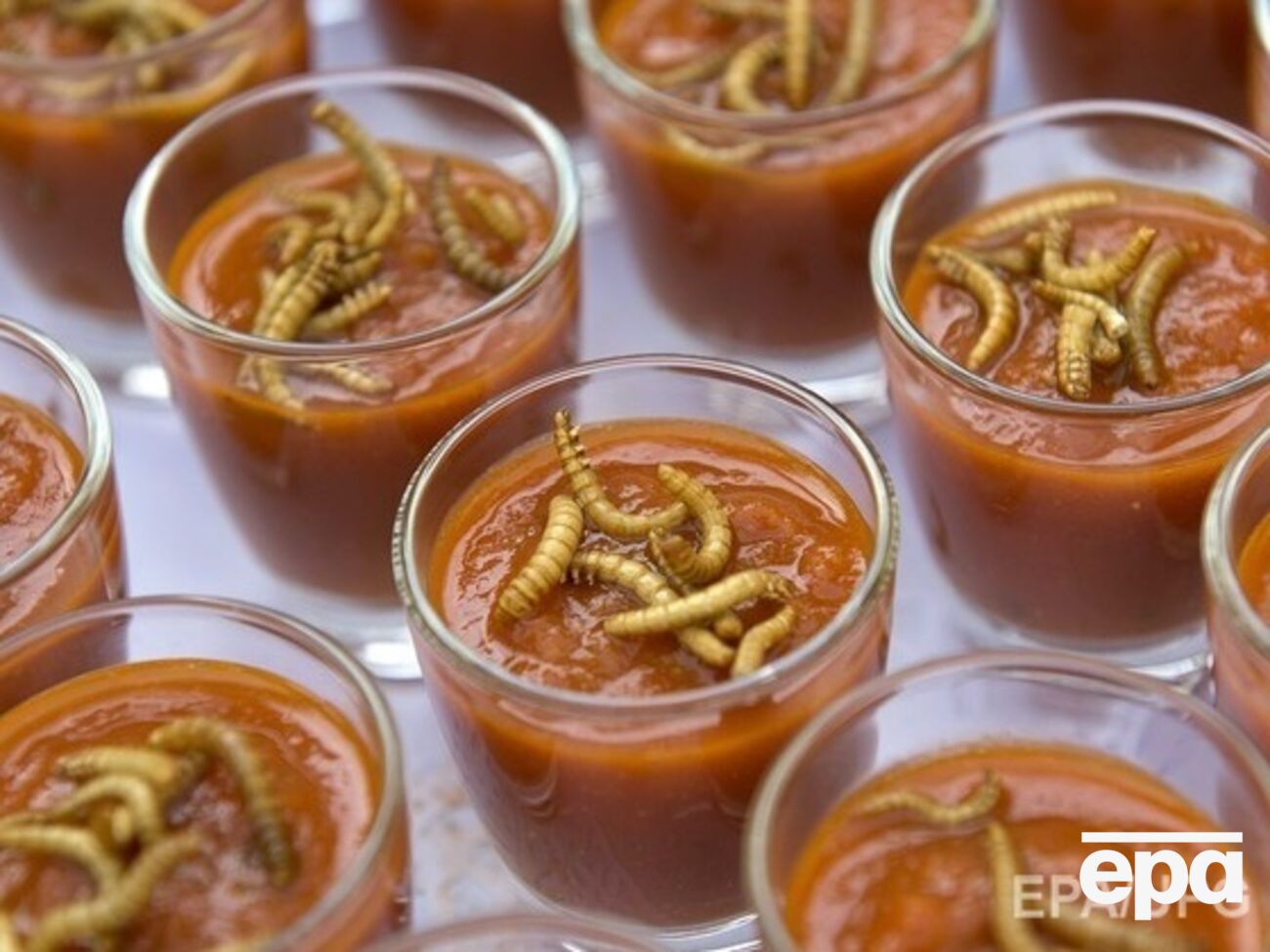 Профессор ТГУ Бабенко:&nbsp;Я в шутку говорю, что это мясо без косточек