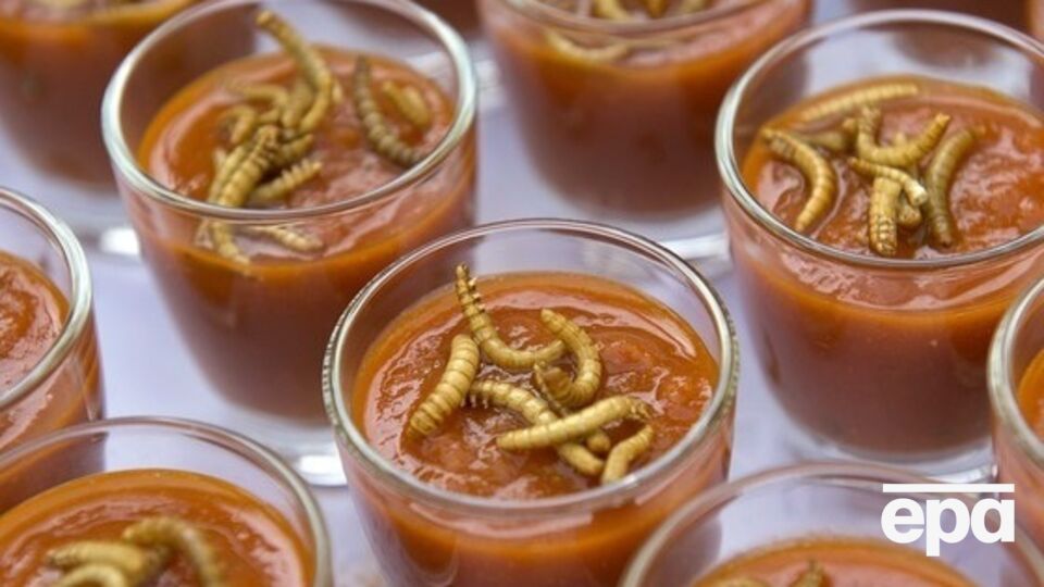 Профессор ТГУ Бабенко: Я в шутку говорю, что это мясо без косточек