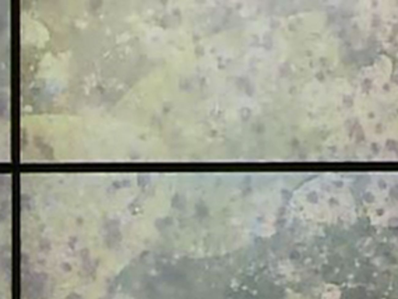 Тандит заверил, что следствие объективно