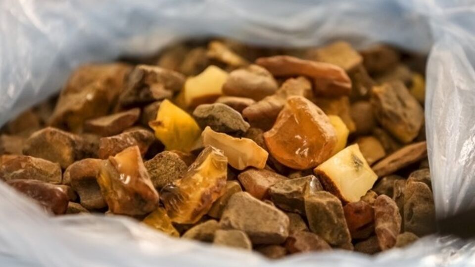 В Ровенской области произошел конфликт из-за нелегальной добычи янтаря