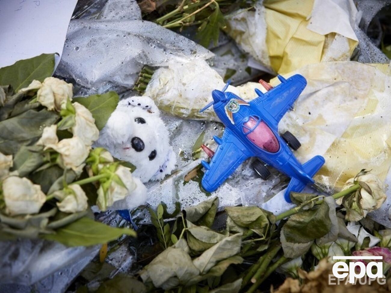 В результате крушения рейса MH17 в Донецкой области погибли 298 человек