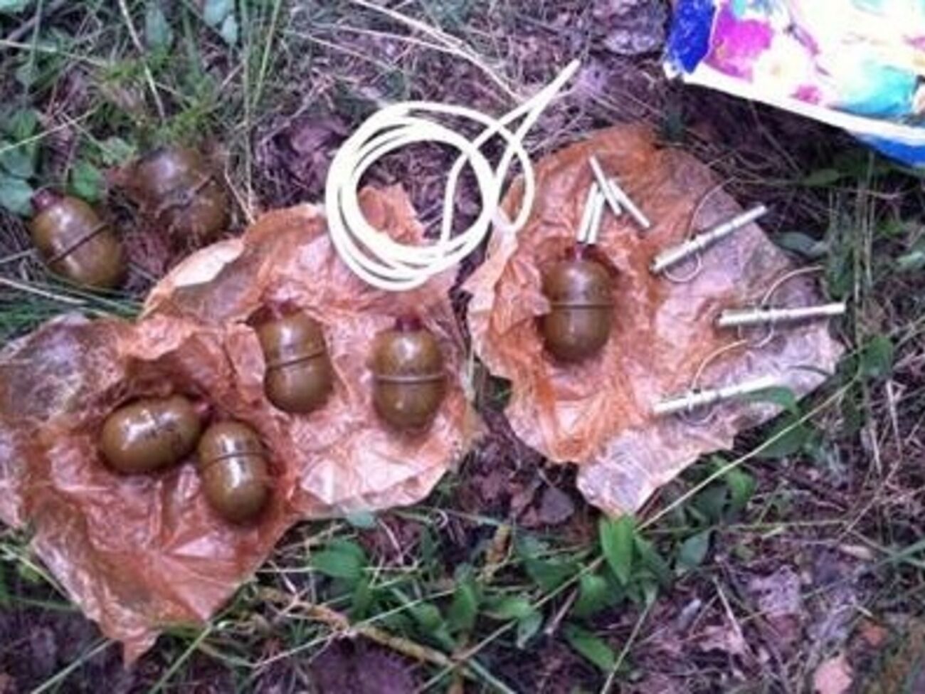 СБУ: В&nbsp;пакете, от которого пытался избавиться один из задержанных, оказались семь гранат РГД-5 с запалами