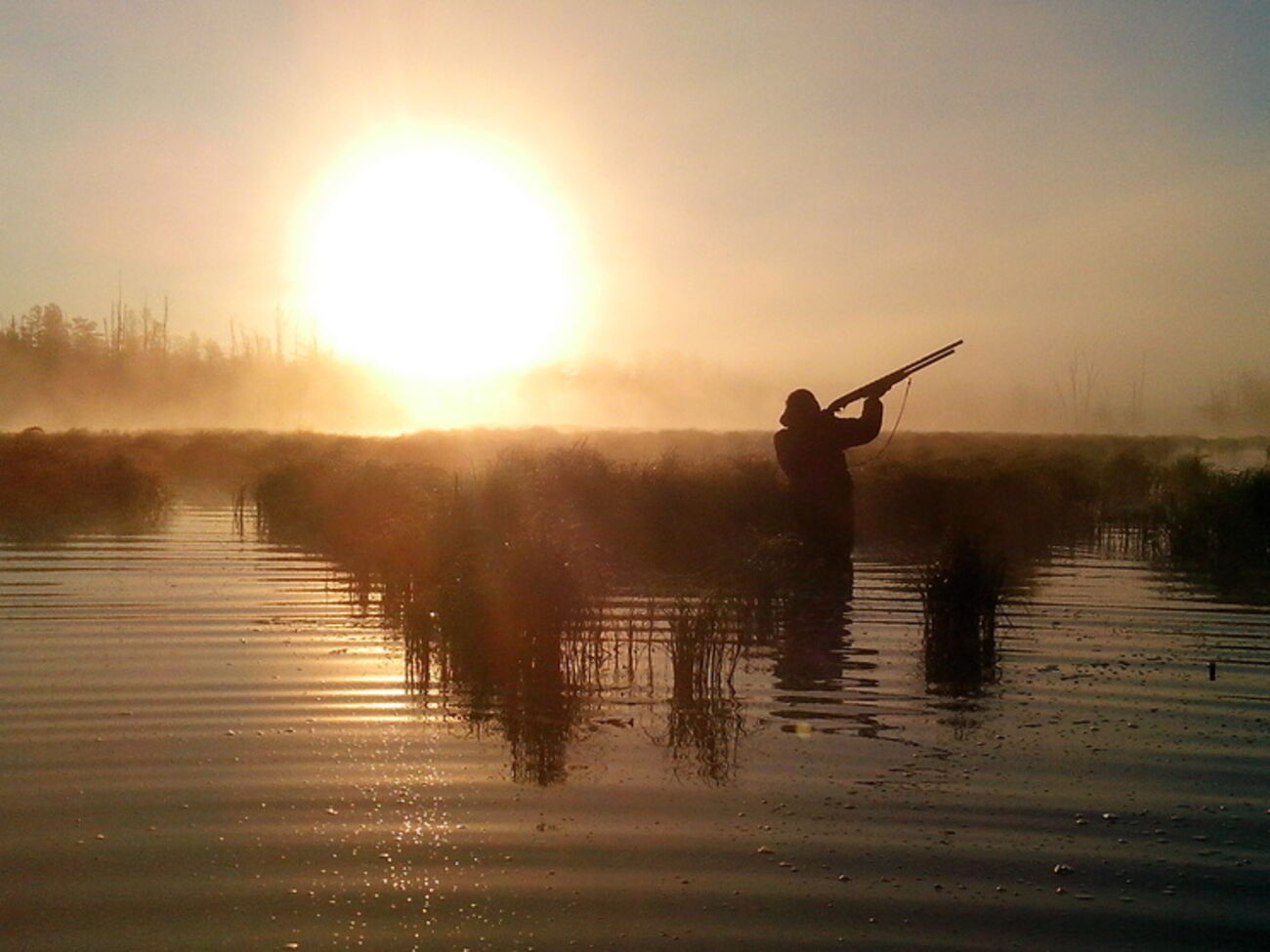 В трех районах Днепропетровской области охота запрещена до прекращения боевых действий в зоне АТО