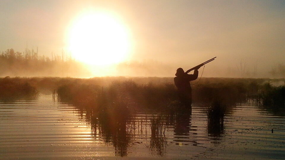 В трех районах Днепропетровской области охота запрещена до прекращения боевых действий в зоне АТО