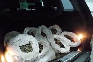 Госпогранслужба: Пакеты с янтарем были обнаружены в багажниках автомобилей