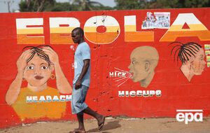 В ВОЗ заявили об успехе испытания вакцины против Эболы