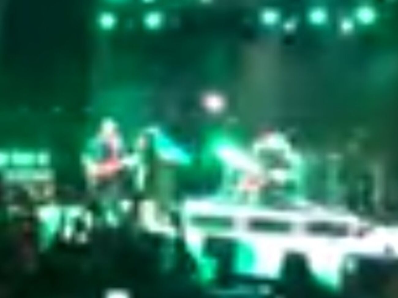 Во время выступления в Грузии Земфира развернула флаг Украины. Видео