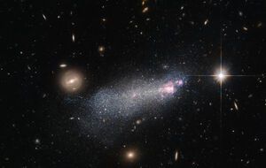 Учитывая недолгий век звезд Вольфа-Райе, подобные фото --- большая редкость