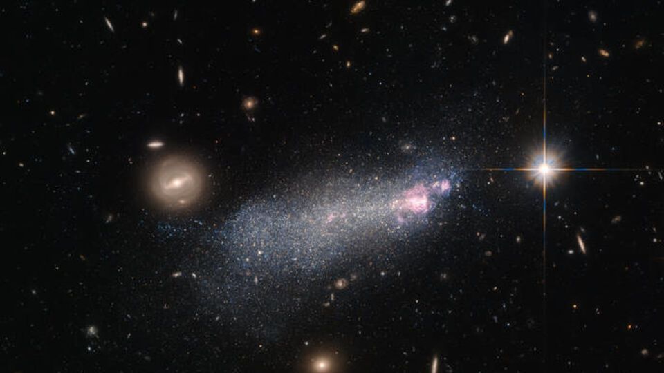 Учитывая недолгий век звезд Вольфа-Райе, подобные фото --- большая редкость